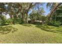 Spacious front yard with large trees that provides shade and curb appeal to this beautiful home at 655 Vine Ct, Apopka, FL 32703