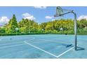 Community basketball court with multiple hoops and well-maintained blue playing surface, surrounded by trees at 3162 Rodrick Cir, Orlando, FL 32824