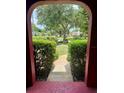 View of the neighborhood street from the home's doorway with a sidewalk lined with manicured bushes at 6478 Inca St, Orlando, FL 32807