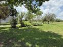 Lush green lawn with mature trees and landscaping at 15311 Johns Lake Rd, Clermont, FL 34711