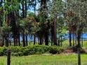 Scenic view of the lake through lush foliage, offering a tranquil and private setting at 600 Lake Butler Ave, Osteen, FL 32764