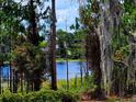 Scenic view of a calm lake surrounded by lush trees and Spanish moss, creating a serene atmosphere at 600 Lake Butler Ave, Osteen, FL 32764