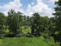 Expansive backyard featuring mature landscaping and beautiful green scenery with a line of trees at 2700 Cherokee Rd, St Cloud, FL 34772