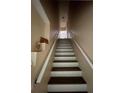 Interior stairway featuring brown steps and white risers, leading to the upper level of the home at 12021 Villanova Dr # 111, Orlando, FL 32837