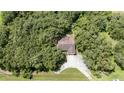 An aerial view of the home, nestled among a canopy of mature trees at 2810 Horton Rd, Kissimmee, FL 34744