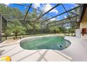 Screened-in pool area featuring an in-ground pool with string lights, palm trees, and ample deck space at 6441 Nightwind Cir, Orlando, FL 32818