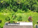 Aerial view of backyard with lush landscaping and mature trees offering privacy at 125 Prima Dr, Poinciana, FL 34759