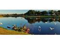 Picturesque pond view with waterfowl, framed by grassy shores and distant houses under a serene sky at 934 Westpark Dr, Celebration, FL 34747