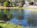Peaceful pond view with ducks, and houses visible in the background at 2608 Whitewood Road, Mulberry, FL 33860