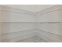 Walk-in pantry with shelving at 4412 Sw 84Th Street Rd, Ocala, FL 34476