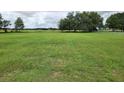 Large grassy backyard with trees in the background at 9930 Se 67Th Avenue Rd, Belleview, FL 34420