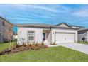 Beautifully landscaped single-story home with a two-car garage, green lawn, and attractive window and door trim at 13469 Leaping Water Way, Astatula, FL 34705