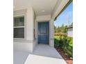 Inviting front entrance with a stylish blue door, covered porch, and manicured landscaping at 9076 Wildlight Trl, Wildwood, FL 34785