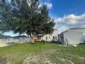 Spacious backyard with large tree and shed at 1054 N Platte Way, Kissimmee, FL 34759