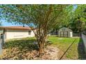 Large backyard with shed and chain link fence at 5018 Se 106Th Pl, Belleview, FL 34420