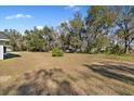 Large backyard with mature trees and ample space at 5525 Tillman Rd, Lakeland, FL 33810