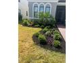 Landscaped front yard with shrubs, palm tree, and brick pathway at 1851 Goblet Cove St, Kissimmee, FL 34746