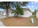 Inviting exterior of home showcasing a tidy lawn and a young palm tree at 536 Cheshire Way, Davenport, FL 33897