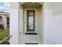 Inviting entryway with a glass-paneled front door and neutral-colored columns at 6973 Wilson Pasture Ave, Groveland, FL 34736