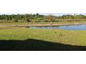 Backyard with a view of a pond and lush green surroundings at 1753 Eagle Hammock Blvd, Eagle Lake, FL 33839