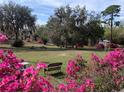 Picturesque country property with vibrant azaleas creating a tranquil and inviting outdoor space, perfect for relaxation and enjoyment at 24645 Ne 177Th Ter, Fort Mc Coy, FL 32134