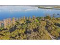 Scenic aerial view of lakefront property with mature trees and a serene waterfront vista at 5261 Waterwood Dr, Bartow, FL 33830