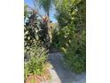 Lush greenery and mature plants create a private and inviting walkway at 2055 Avenue C, Mulberry, FL 33860