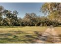 Beautiful homesite with mature trees, ample sunlight, and a charming country road leading to the property at 12308 Se 112Th Avenue Rd, Belleview, FL 34420