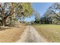 Gravel drive leads to a lovely property shaded by beautiful, mature, mossy trees at 12308 Se 112Th Avenue Rd, Belleview, FL 34420