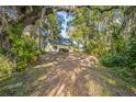 Spacious backyard featuring mature trees and lush greenery, offering a private and serene setting at 9401 Cat Track Trl, Lake Wales, FL 33898