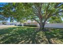 Expansive backyard featuring lush green grass and a large tree providing shade and privacy at 119 Lake Mariam Way, Winter Haven, FL 33884