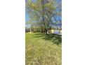 Inviting single-Gathering home with a well-maintained lawn and mature tree shading the property at 447 Wildflower Rd, Davenport, FL 33837