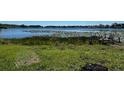 Scenic view of a lily-pad-filled lake with a small wooden dock and lush green shoreline at 504 Sears Ne Ave, Winter Haven, FL 33881