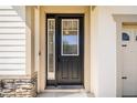 Close-up of a modern front door with glass panels and stylish accents at 2846 Sera Bella Way, Kissimmee, FL 34744