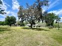 Expansive property with a well-maintained lawn, mature trees and a single story home providing ample space at 1464 Mount Pleasant Rd, Groveland, FL 34736