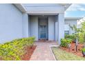 Beautiful front entryway with a decorative front door, manicured bushes, and a brick walkway at 670 Campo Ln, Davenport, FL 33837