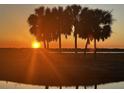 Breathtaking sunset view with silhouette of palm trees and water reflections at 990 Keen Rd, Frostproof, FL 33843