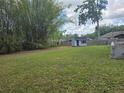 Expansive backyard featuring mature bamboo trees, a charming shed, and ample space for outdoor activities at 4506 Se 7Th Pl, Ocala, FL 34471