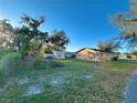Wide shot of the fenced backyard with grass, a shed and mature trees behind the home at 2341 Weber St, Lakeland, FL 33801