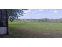 Lush green backyard view with a tranquil pond, partially framed by trees at 9873 County Road 114B, Wildwood, FL 34785