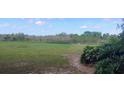 Open green space in backyard with lush foliage and glimpses of neighboring trees and blue sky at 9873 County Road 114B, Wildwood, FL 34785