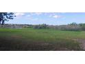 Expansive backyard view features green lawn and a serene pond in the distance, perfect for relaxation at 9873 County Road 114B, Wildwood, FL 34785