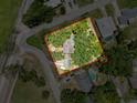 Aerial view of a home with mature trees and manicured landscaping at 800 W Lake Elbert Ne Dr, Winter Haven, FL 33881