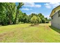 Expansive green backyard with mature trees, offering privacy and a peaceful outdoor space at 4145 Willow Oak Rd, Mulberry, FL 33860
