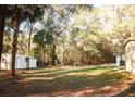 View of the backyard with storage shed and ample shade trees at 20732 Sw Marine Blvd, Dunnellon, FL 34431