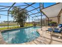 Sparkling screened-in pool area featuring a paver deck, lush palm trees, and serene water views at 460 Tess Ct, Orlando, FL 32834