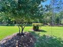 View of the expansive, well-kept backyard, featuring mature trees and lush lawn at 2528 Deerbrook Dr, Lakeland, FL 33811
