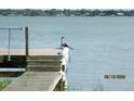 Scenic lake view featuring a bird perched on a wooden dock at 206 Samantha Ave, Auburndale, FL 33823