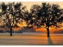 The sun sets behind these gorgeous, mature trees on this well-manicured property at 6726 Nw 54Th Loop, Ocala, FL 34482
