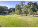 Expansive backyard featuring mature trees and a storage shed at 3550 Keen Dr, Mulberry, FL 33860